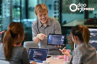 Hire The Best Odoo Developer